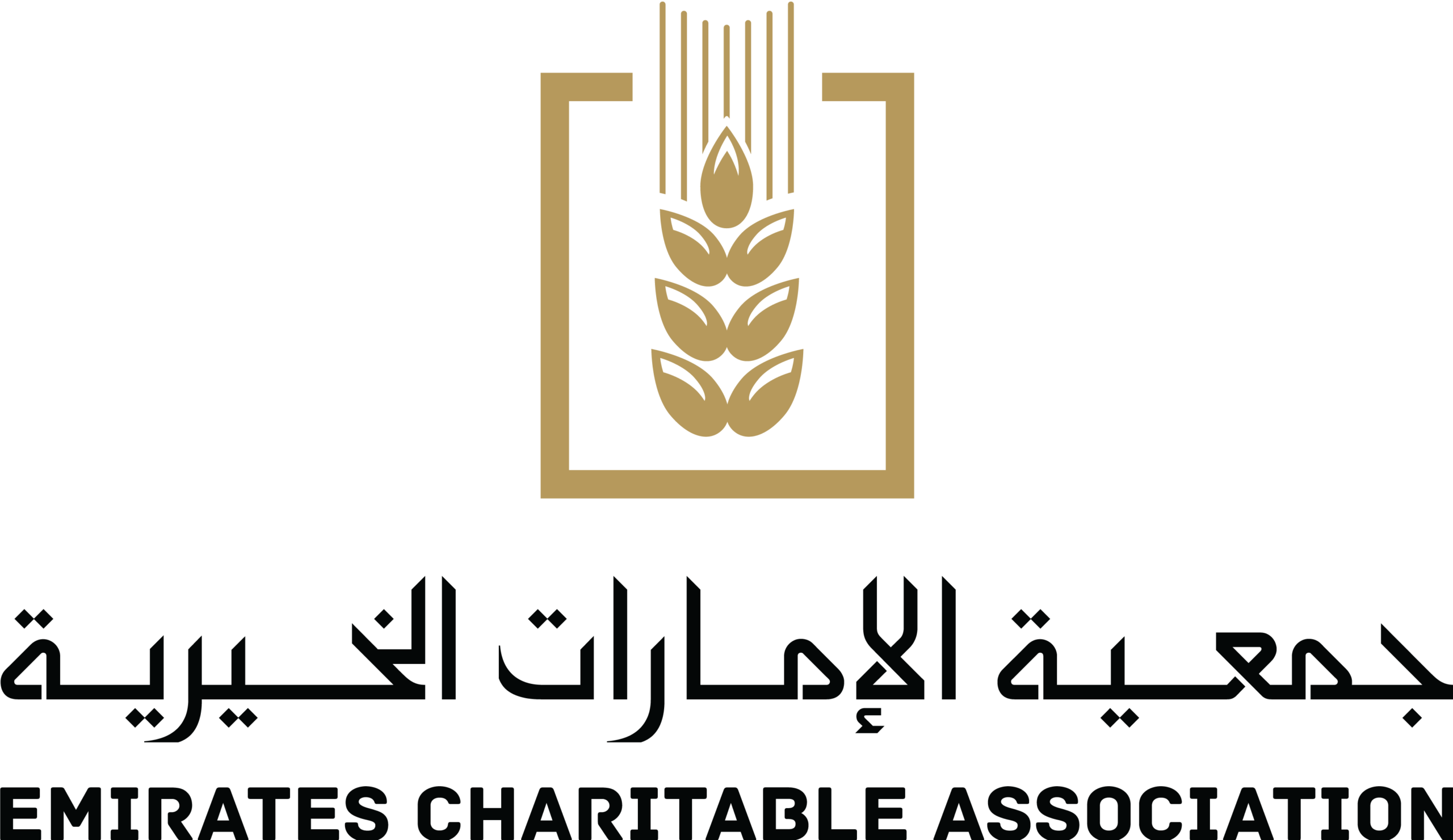 جمعية الإمارات الخيرية